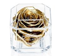 Eternal Petals A 100% Real Rose That Lasts Years - White Gold Solo (Gold)