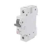 ETIMAT 6 1P D2 Disjoncteur 230/400VAC Icourant: 2A Pôles: 1 DIN Caract: D 6kA ET