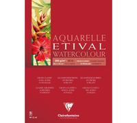 Etival bloc collé 1 côté 10F A3 200g grain classic