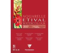 Etival bloc collé 1 côté 10F A5 200g grain classic