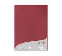 Etui de 25 feuilles Pollen 210x297 210g/m2 - Bordeaux