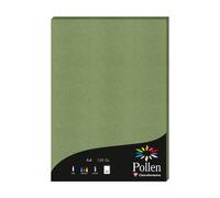 Etui de 50 feuilles Pollen 210x297 120g/m2 - Vert sauge