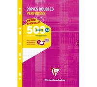 Copies doubles 500 pages petits carreaux A4 21 x 29,7 cm Métric Clairefontaine - perforées