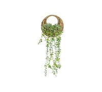 - Eucalyptus à suspendre avec pot naturel - H. 70 cm