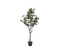 Eucalyptus artificiel en polyéthylène hauteur 130cm - -