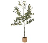 Eucalyptus artificiel et pot tressé 99x188x93cm Vert