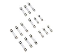 Eujgoov Kit de Fusibles en Verre 250Pcs, Tube à Rapide 1-20A 250V | 15 Spécifications, Tailles 5x20mm et 6x30mm, Boîte de Rangement Transparente, Protection de Circuit pour Voiture et Maison