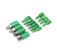 Eujgoov Kit de Raccords de Tuyau D'air, Raccord Universel D'air NPT 1,4 | Alliage D’aluminium, 6 Billes de Verrouillage, 300 Psi , Compatible avec les Fiches I,M,T,ARO, pour Outils Pneumatiques