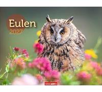 Eulen Kalender 2027: Beeindruckende Aufnahmen der schönen Greifvögel in einem großen Fotokalender. Ein Wand-Kalender für alle Fans der nachtaktiven Vögel. 44 x 34 cm Querformat
