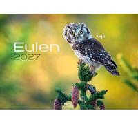 Eulen Kalender 2027: Der Tierkalender mit den charmanten Namen. Wandkalender Vogelkalender
