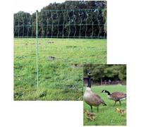 Euro-Net Combi Poultry 112 cm ZS double pointe