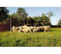 Euro-Net Wolf Jumbo 120 cm double pointe