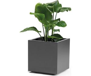 euro3plast 315-762 Bac à plantes Greener Kebe 40cm, anthracite