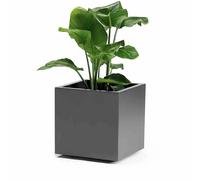 euro3plast Greener KEBE 3157.62 Jardinière plastique anthracite