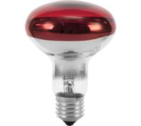 Eurolite 9210360U Ampoule à incandescence E27 réflecteur 60 W rouge 1 pc(s)