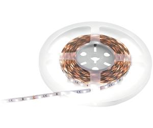EUROLITE Bande LED 300 5m 3528 4000K 12V - Bandes LED