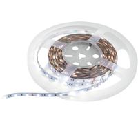 EUROLITE Bande LED 300 5m 3528 5700K 12V - Bandes LED