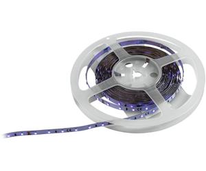 EUROLITE Bande LED 300 5m 3528 UV 24V - Bandes LED