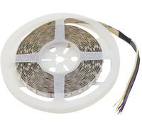EUROLITE Bande LED 300 5m 5050 RGB/WW/CW 24V - Bandes LED
