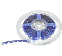 EUROLITE Bande LED 300 5m RGBWW 24V - Bandes LED