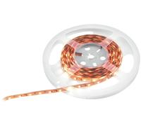 EUROLITE Bande LED 600 5m 2835 1800+5700K 24V - Bandes LED