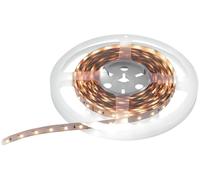 EUROLITE Bande LED 600 5m 3528 2700+5700K 24V - Bandes LED