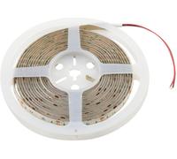 EUROLITE Bande LED IP 600 5m 2835 4000K 24V - Bandes LED