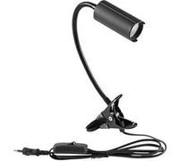 Eurolite KKL-7 41600550 Lampe LED à pince 7 W blanc chaud noir G