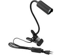 Eurolite KKL-7 41600552 Lampe LED à pince 7 W blanc froid noir G
