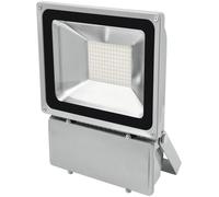 EUROLITE LED IP FL-100 3000K - Projecteurs (extérieur)