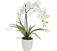 EUROPALMES Arrangement d'orchidées 1, artificielles - Arrangements de plantes