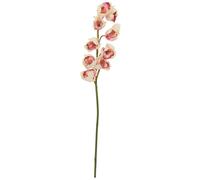 EUROPALMES Branche de cymbidium, artificielle, rose-crème, 90cm - Branches et buissons
