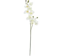 EUROPALMES Branche d'orchidée, artificielle, blanc crème, 100cm - Branches et buissons