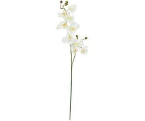 EUROPALMES Branche d'orchidée, artificielle, blanc crème, 100cm - Branches et buissons