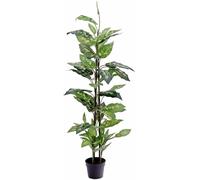 EUROPALMES Dieffenbachia, artificiel, 120cm - Fleurs