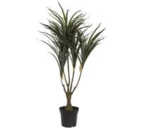 EUROPALMES Dracena, vert-rouge, artificielles, 90cm - Palmiers