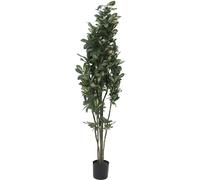 EUROPALMES Schefflera, artificielle,120cm - Branches et buissons