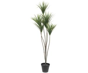 EUROPALMES Yucca palm, plante artificielle, 130cm - Palmiers