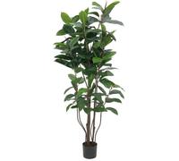 EUROPALMS Arbre en caoutchouc, plante artificielle, 150cm - Arbres