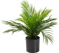 EUROPALMS Areca Palm, plante artificielle, 46 cm - Palmiers