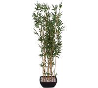EUROPALMS Bambou dans un bol, artificiel, 150cm - Arbres