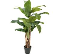 EUROPALMS Bananier, plante artificielle, 120cm - Arbres