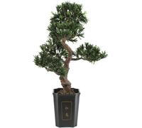 EUROPALMS Bonsai Podocarpus, plante artificielle, 80cm