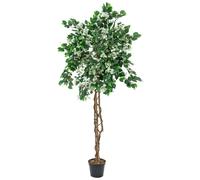 EUROPALMS Bougainvillea, plante artificielle, blanc, 150cm - Arbres