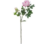 EUROPALMS Branche de pivoine premium, plante artificielle, rose, 100cm - Branches et buissons