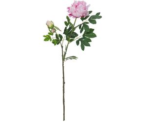 EUROPALMS Branche de pivoine premium, plante artificielle, rose, 100cm - Branches et buissons