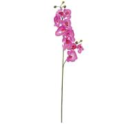 EUROPALMS Branche d'orchidée, artificielle, pourpre, 100cm - Branches et buissons