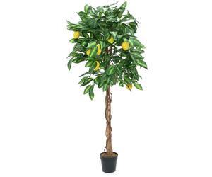 EUROPALMS Citronnier, plante artificielle, 180cm - Arbres