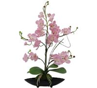 EUROPALMS Composition d'orchidées (EVA), artificielles, violettes - Fleurs