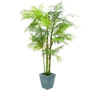 EUROPALMS Cycas palm, plante artificielle, 280cm - Palmiers